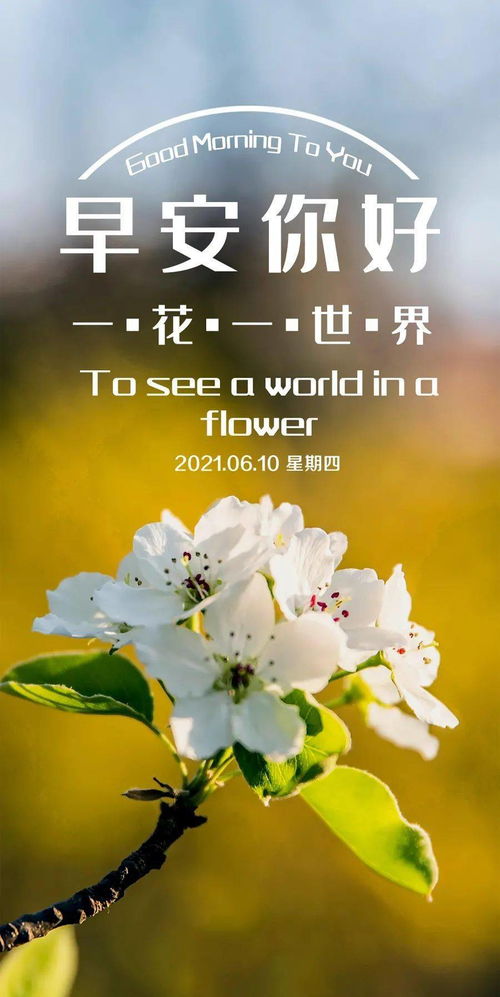 早上的正能量努力句子