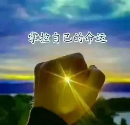 心向陽光正能量的句子和,陽光勵志正能量的句子,陽光正能量的說說唯美句子