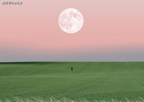 句子,能量,比賽