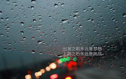 永不認輸的正能量句子