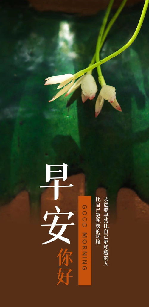 天冷了正能量的句子經(jīng)典語句