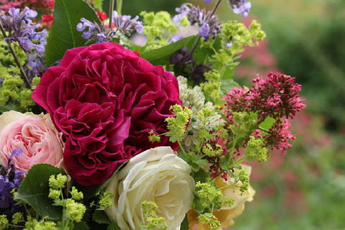 正能量滿滿智慧與美的句子