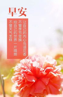 圈子正能量句子