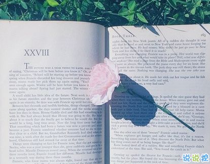 中考正能量的句子經(jīng)典語句,中考積極向上正能量的句子,中考拼搏努力正能量的句子