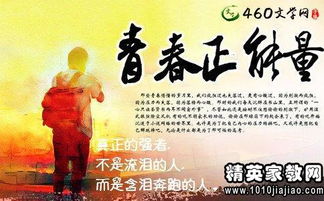 押韻,句子,能量,青春