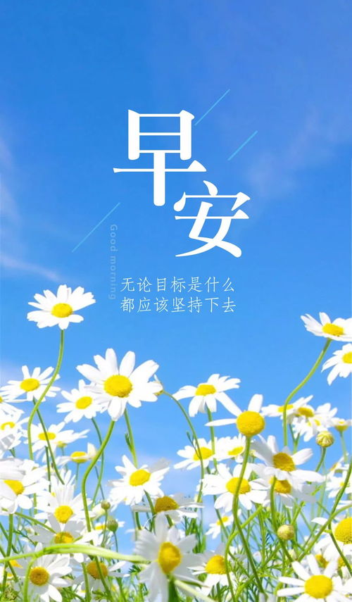 早安,簡短,句子,能量