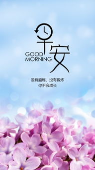 句子,能量,早上,適合