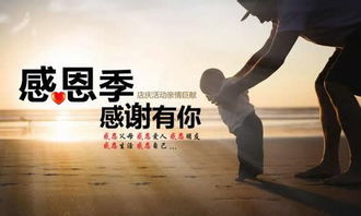 句子,感恩,能量,老板