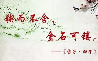 句子,詞語,能量