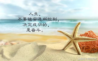 短句正能量的句子經(jīng)典早安