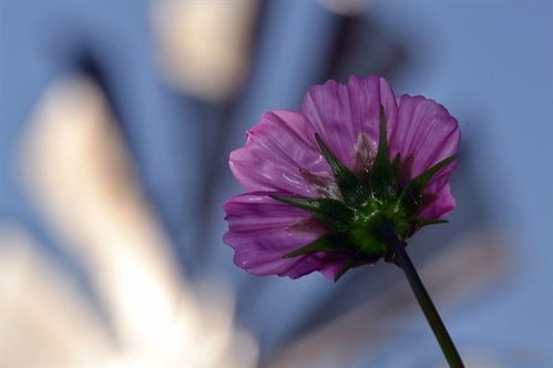 活在當(dāng)下正能量的句子經(jīng)典