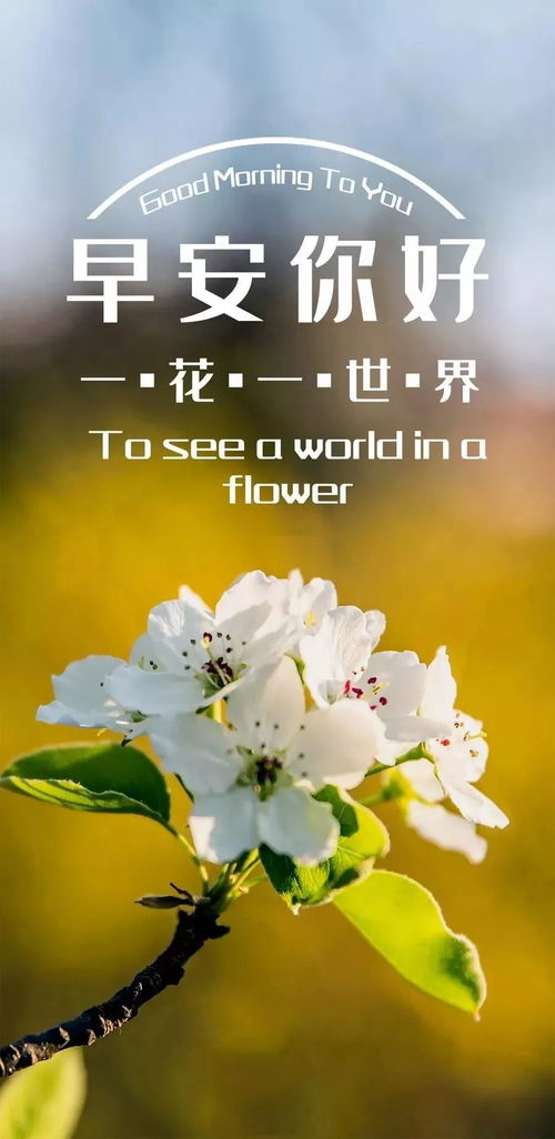 早安朋友圈很贊的說說正能量句子