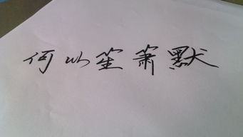 正能量鋼筆字作品,關(guān)于鋼筆字的優(yōu)美句子,對(duì)鋼筆字的贊美的句子