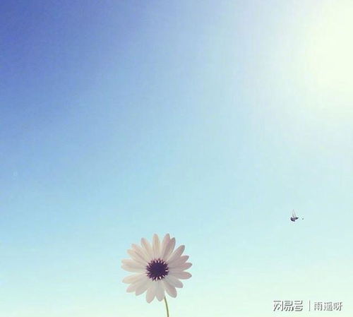 生活陽光正能量的句子簡短,心向陽光正能量的簡短句子,積極陽光正能量的句子簡短