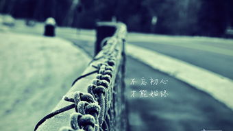 網(wǎng)易云熱正能量句子