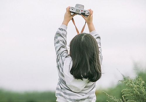 為生活努力拼搏正能量的句子,學(xué)生努力拼搏正能量的句子,團(tuán)隊(duì)努力拼搏正能量的句子