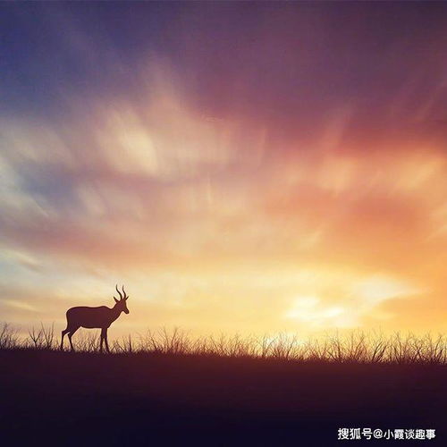 心態(tài)陽光正能量句子