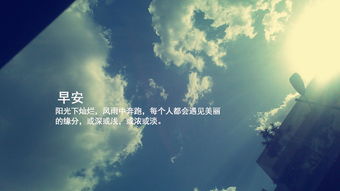 午安心語正能量句子,午安正能量句子勵志,午安問候語正能量句子