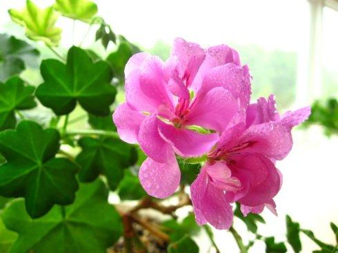 早上發(fā)圈的正能量圖句子