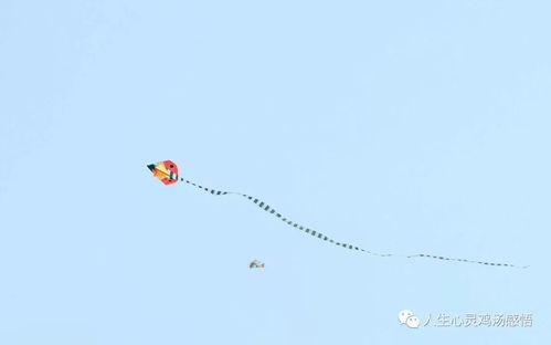 積極向上的句子正能量人生團(tuán)隊(duì),積極向上的句子青春正能量生活,積極向上的句子陽光人生正能量青春