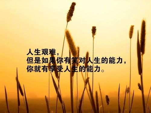 句子,能量,經(jīng)典