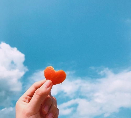 關(guān)于堅持的正能量句子,懂得感恩的正能量句子,新的開始新的起點正能量句子