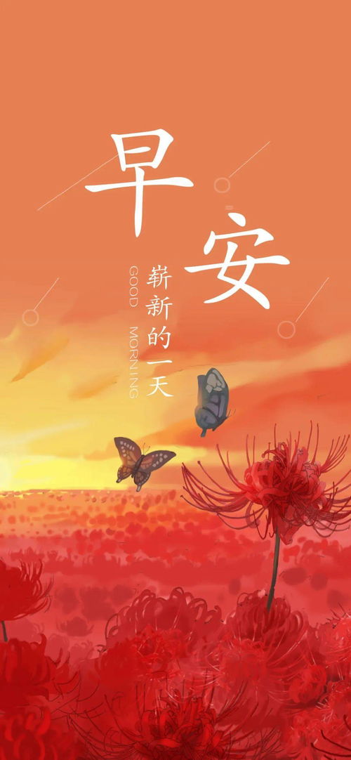 美容早上分享正能量的句子