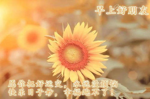 正能量向上的句子簡短認真生活