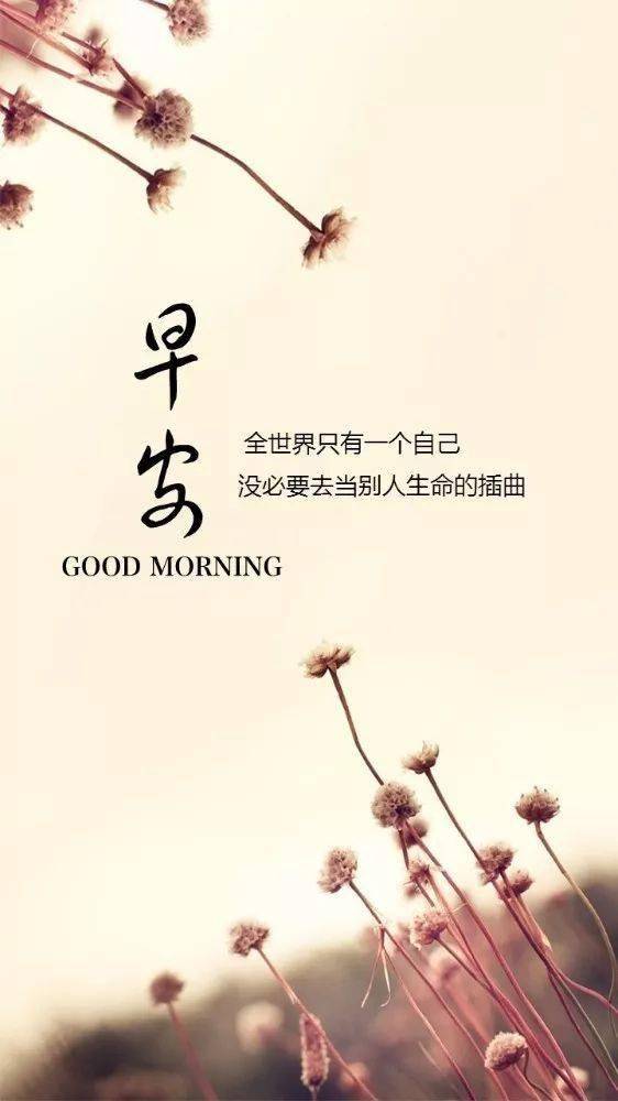 早安正能量的發(fā)圈語,2021早安心語正能量,早安正能量簡(jiǎn)單句子發(fā)圈