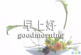 早上好勵(lì)志正能量句子,早上好正能量句子簡(jiǎn)短,早上好朋友圈正能量句子簡(jiǎn)短
