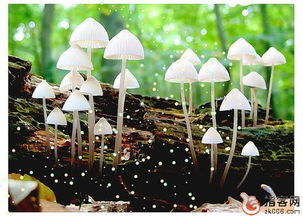 辛勤付出正能量句子