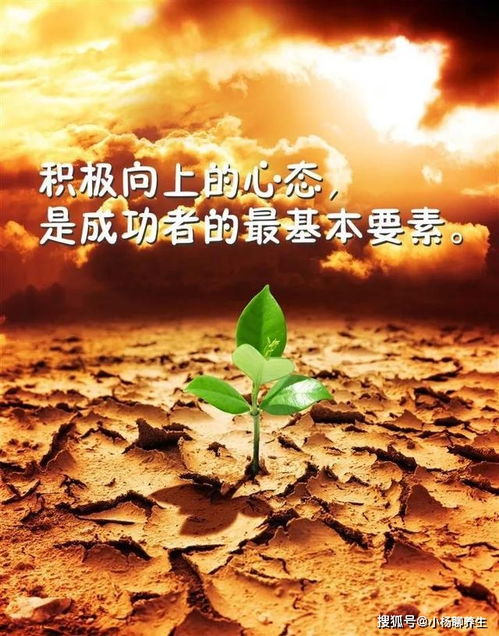 句子,拼搏,能量