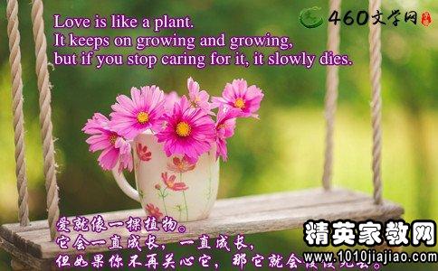 句子,唯美,能量,學(xué)生