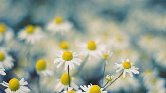 關(guān)于夫妻正能量的句子,夫妻正能量奮斗的句子,勵(lì)志夫妻正能量的句子