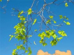 打雞血語錄正能量句子