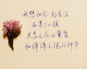 友情的句子正能量簡短句子