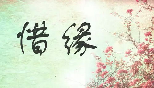 緣分珍惜正能量的句子每天布靈布靈的,珍惜每一天正能量句子,珍惜相愛(ài)正能量句子