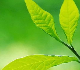 委屈正能量句子說說心情短語