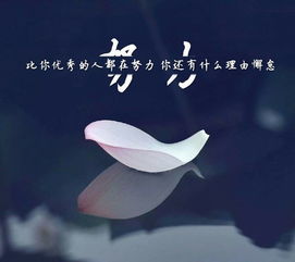 心平氣和,句子,能量,心態(tài)