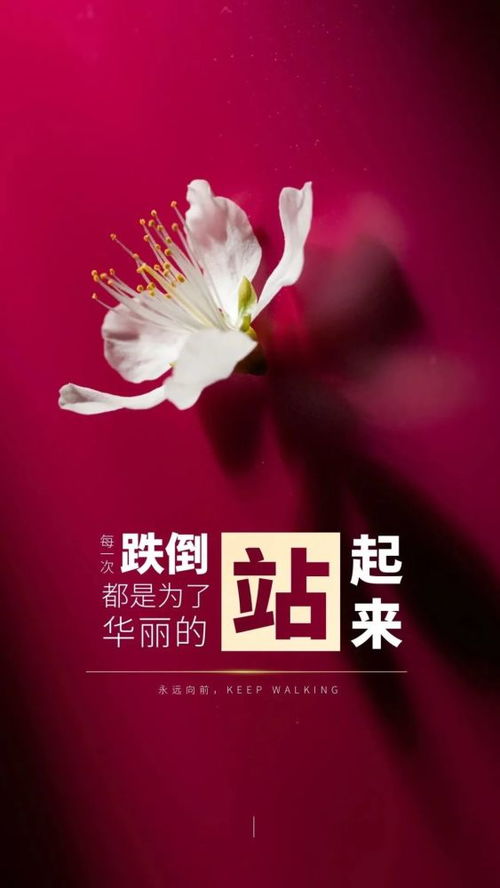 句子,朋友圈,早上好,能量