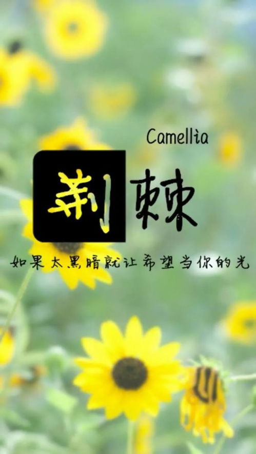 畫畫,句子,能量,努力