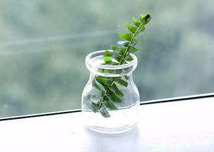 早安給女朋友正能量的句子簡短