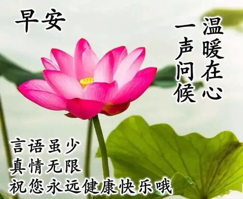 句子,朋友圈,早上好,能量