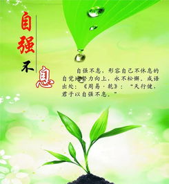 早安,句子,能量,分享