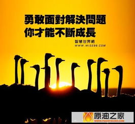 句子,能量,成長(zhǎng)