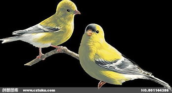 關(guān)于小鳥的正能量的句子