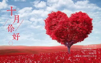 正能量的句子經(jīng)典語句,志愿者正能量的句子經(jīng)典語句,追星正能量的句子經(jīng)典語句