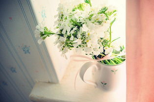 有壓力才有動(dòng)力的正能量句子