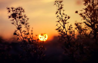 80后寶媽正能量簡短的句子,寶媽正能量簡短的句子,辣媽正能量簡短的句子