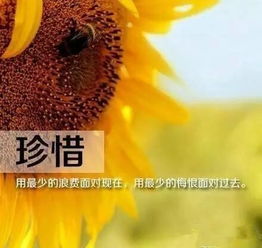 早安正能量經(jīng)典語句微商早安勵志句子